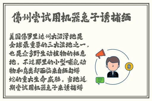 在线精品国产大象香蕉网